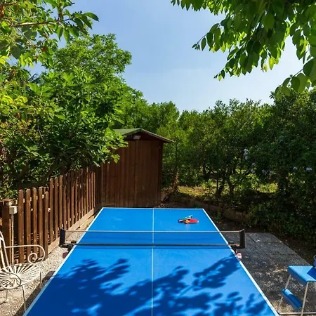 Domus Sicily - Conca D'oro With Pool 别墅 *